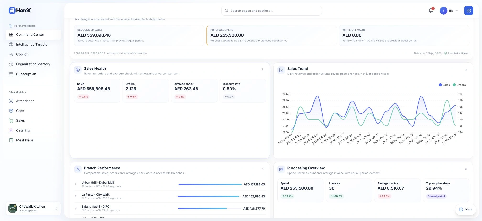 Sales health, daily sales and orders, branch performance and purchasing for 1–20 August 2026